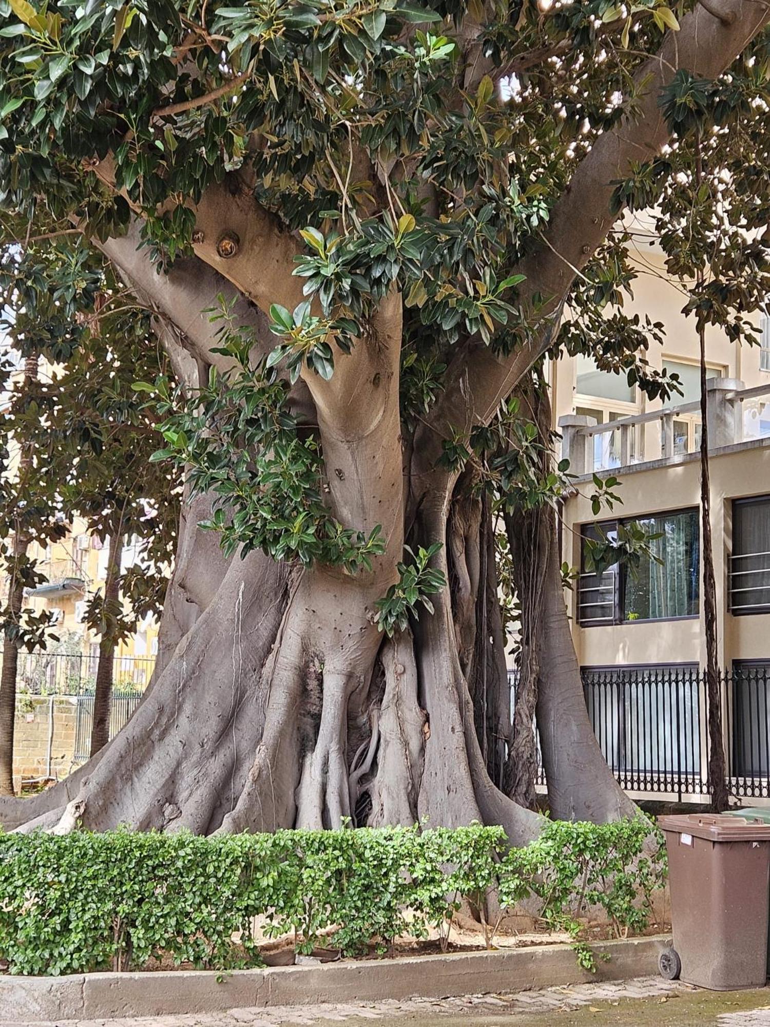 Casa Porta Nuova Apartment Palermo Exterior photo